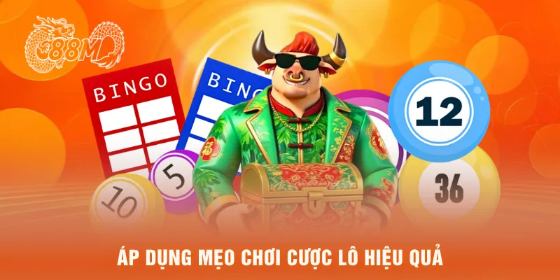 Áp dụng mẹo chơi cược lô hiệu quả