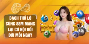 Bạch thủ lô