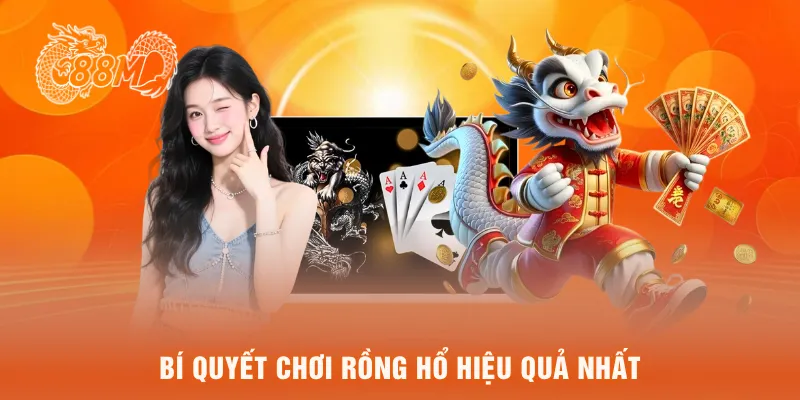 Bí quyết chơi rồng hổ hiệu quả nhất