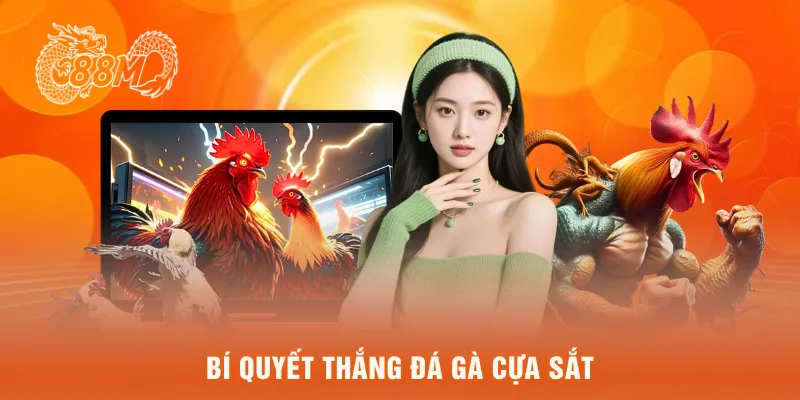 Bí quyết thắng đá gà cựa sắt