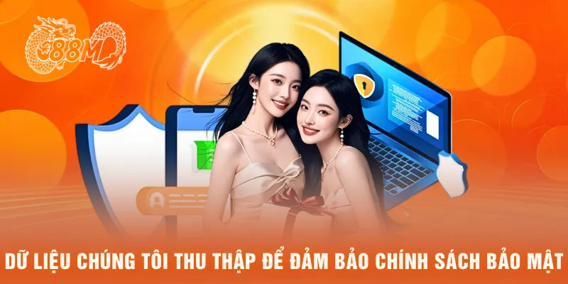 Dữ liệu chúng tôi thu thập để đảm bảo chính sách bảo mật