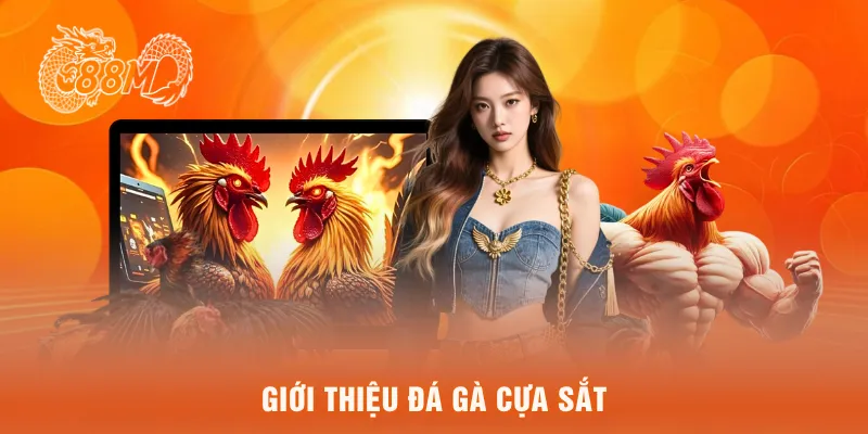 Giới thiệu đá gà cựa sắt