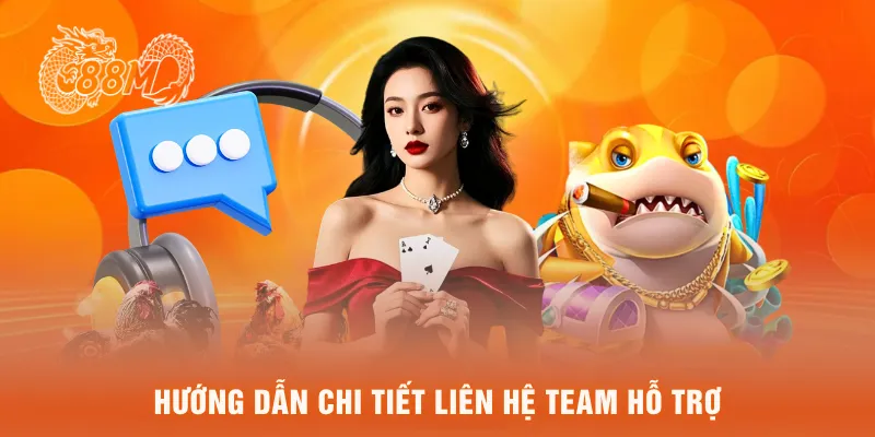 Hướng dẫn chi tiết liên hệ team hỗ trợ