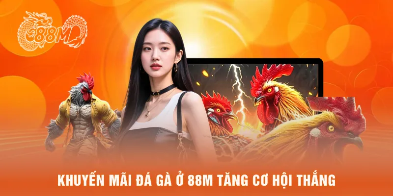 Khuyến mãi đá gà ở 88M tăng cơ hội thắng