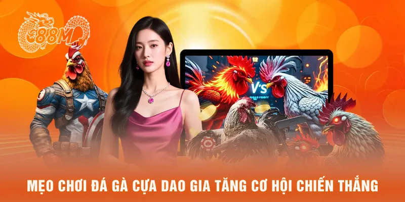 Mẹo chơi đá gà cựa dao gia tăng cơ hội chiến thắng