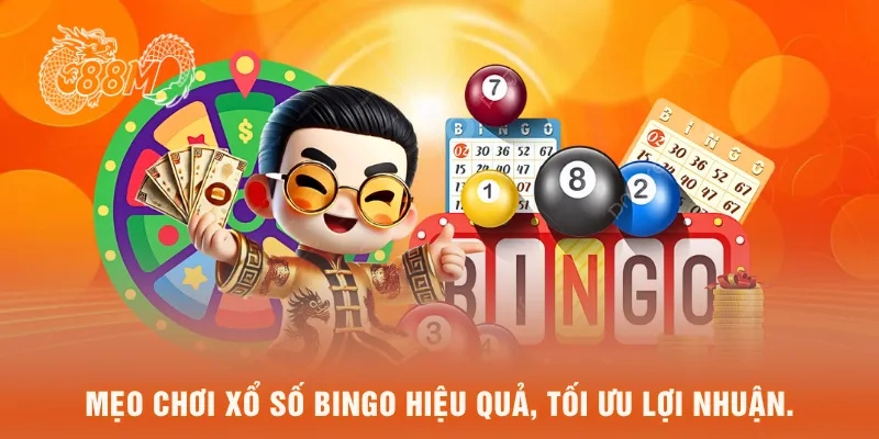 Mẹo chơi xổ số bingo hiệu quả, tối ưu lợi nhuận.