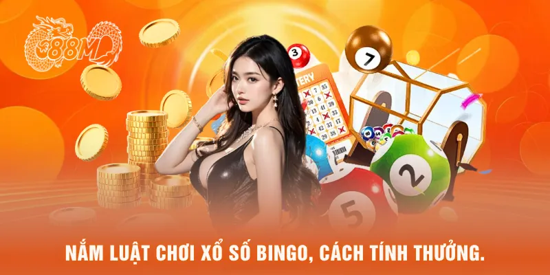 Nắm luật chơi xổ số bingo, cách tính thưởng.