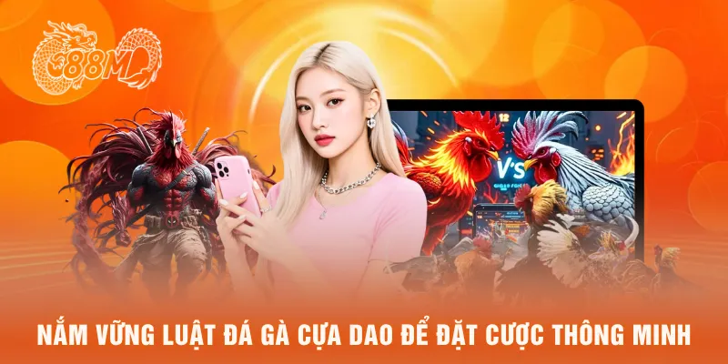 Nắm vững luật đá gà cựa dao để đặt cược thông minh