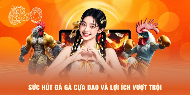 Sức hút đá gà cựa dao và lợi ích vượt trội