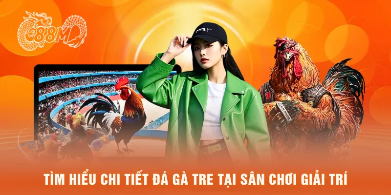 Tìm hiểu chi tiết đá gà tre tại sân chơi giải trí