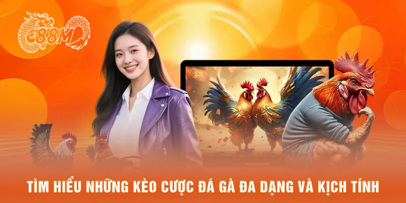Tìm hiểu những kèo cược đá gà đa dạng và kịch tính