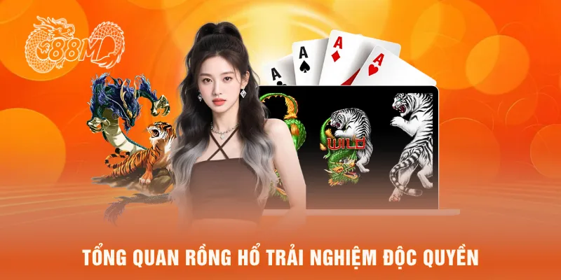 Tổng quan rồng hổ trải nghiệm độc quyền
